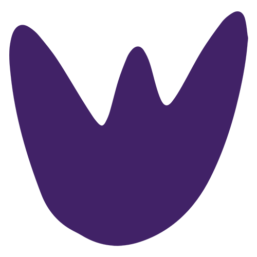 purple tulip shape